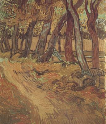 Vincent Van Gogh The Garden of Saint-Paul Hospital with Figure (nn04) Sweden oil painting art